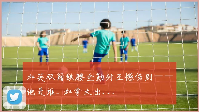 加英双籍铁腰全勤封王憾伤别——他是谁_ 加拿大出...