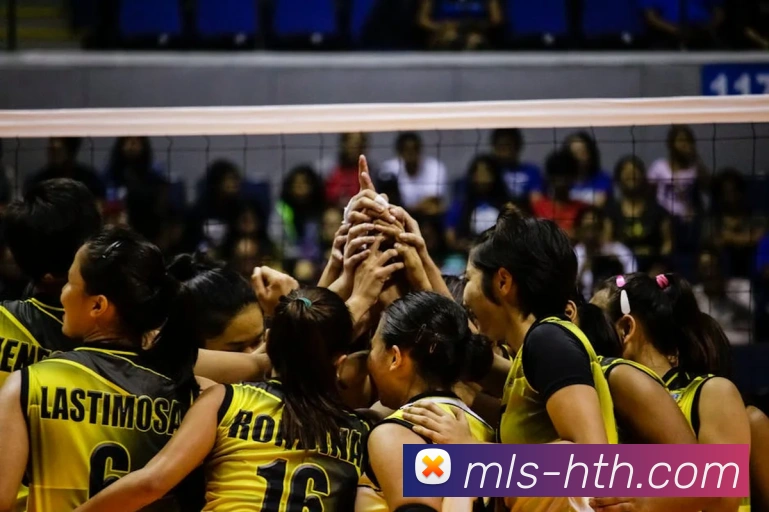 华体会官网品牌故事